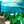 Leinwandbild «Seagrass»