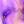 «Lavender Dreams» auf Leinwand