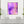 «Lavender Dreams» auf Leinwand