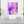 «Lavender Dreams» auf Leinwand